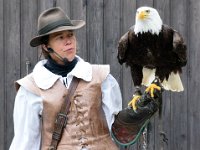 Weisskopfseeadler 122